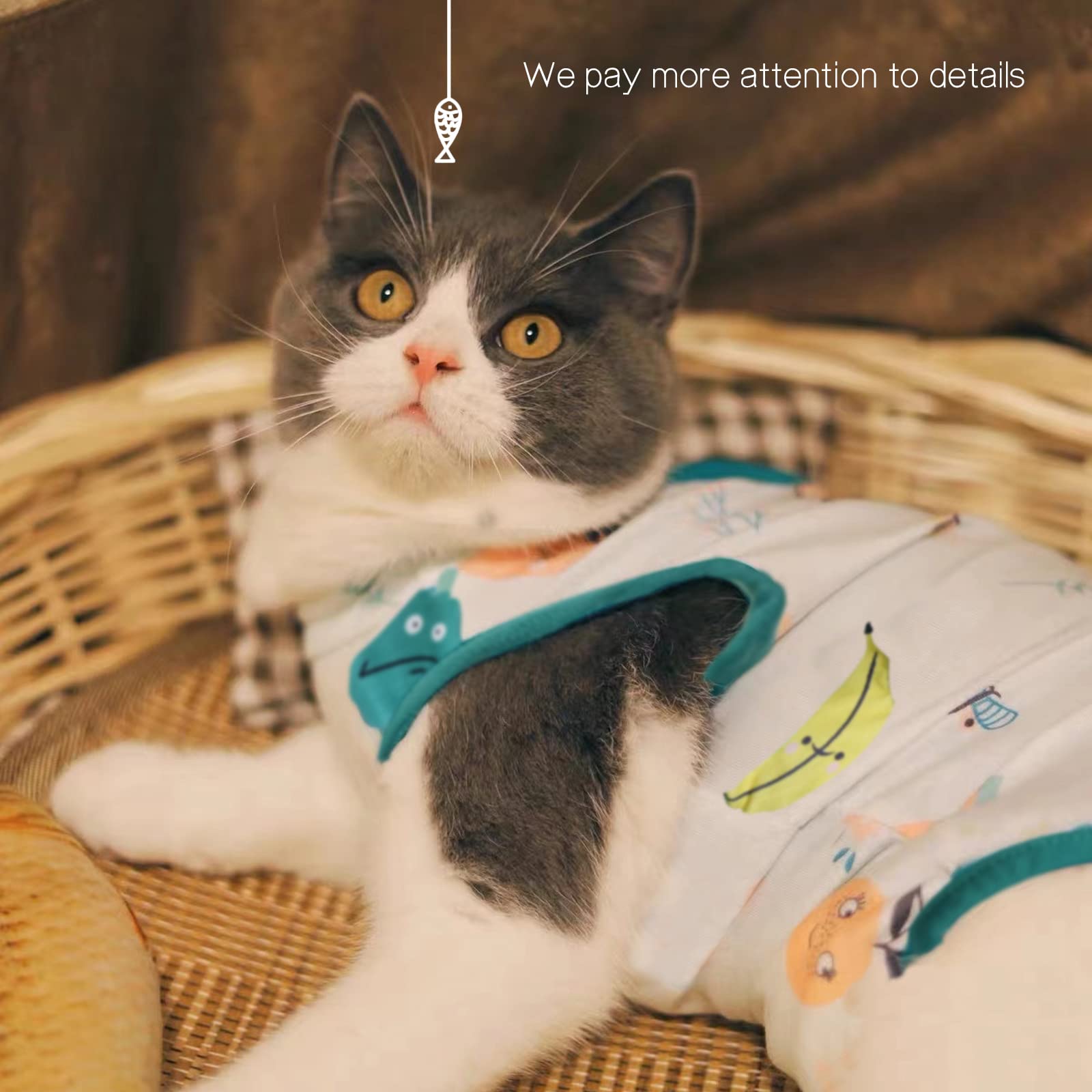 Amazon | Lサイズ 猫 リカバリースーツ 手術後の大型猫用 3パック 舐め